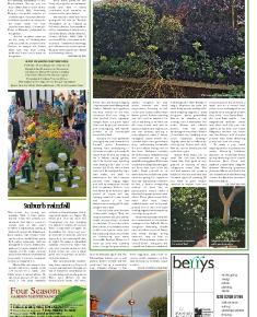 Suburb News Edition 124 Autumn 2015 – Page 11