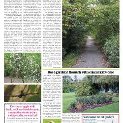 Suburb News Edition 124 Autumn 2015 – Page 8