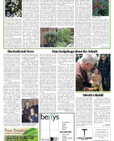 Suburb News Edition 129 Winter 2016 - 2017 - Page 11