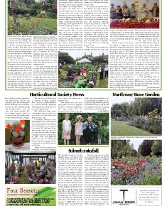 Suburb News Edition 131 Summer 2017 – Page 11